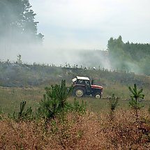 Galeria - Pożar lasu pod Bydgoszczą, 18 czerwca 2018 r./fot. bydgoszcz998
