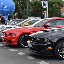 Galeria -  „Western Mustang Weekend”, Bydgoszcz, 22 września 2018 r./fot. Anna Kopeć