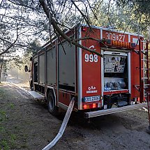 Galeria - Pożar lasu w Fordonie, 17 kwietnia 2019 r./fot. Bydgoszcz998Pożar lasu w Fordonie, 17 kwietnia 2019 r./fot. Bydgoszcz998