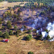 Galeria - Pożar lasu w Fordonie, 17 kwietnia 2019 r./fot. FlyFoto.PRO