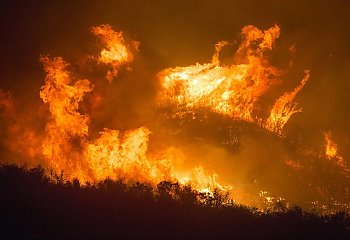 Trwa pożar w Nadgoplańskim Parku Tysiąclecia