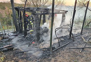 Spłonęła altana na terenie ogródków działkowych w Bydgoszczy [ZDJĘCIA]