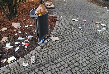Śmieciowy armagedon w Parku Witosa [GALERIA]