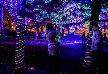 Iluminacje rozjaśniły park Kochanowskiego. „Baśniowy Ogród Świateł” [ZDJĘCIA]