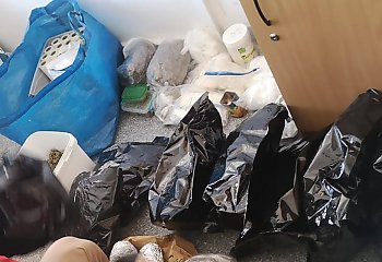 Narkotyki w mieszkaniu w Toruniu. Łącznie ok. 14 kilogramów