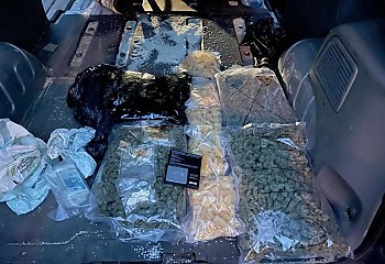 Mocne uderzenie w narkotykowy biznes, policjanci zabezpieczyli ponad 150 kg narkotyków