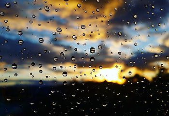 W słońcu i w deszczu