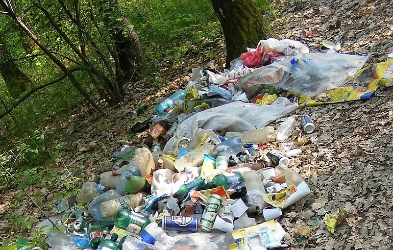Wyższe kary za śmiecenie w lasach! Trwają prace nad nowymi przepisami 