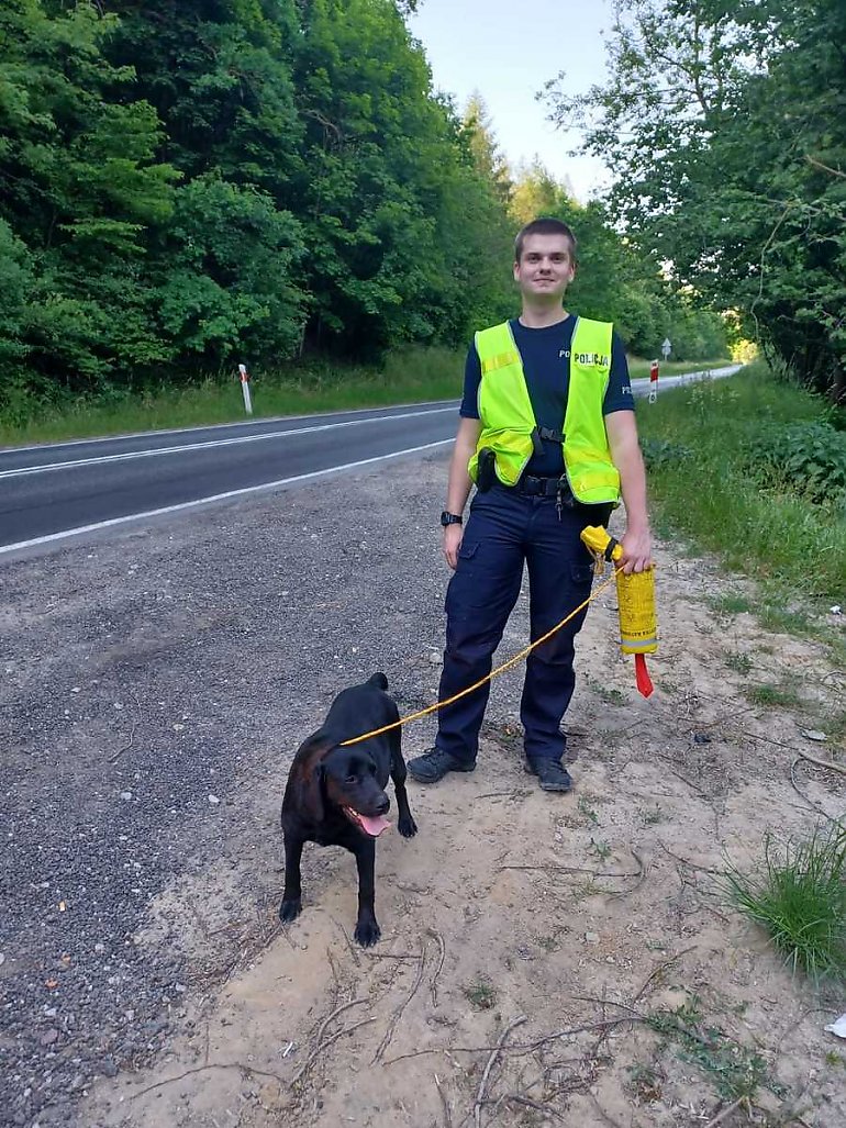 Policjanci zaopiekowali się zbłąkanym psem