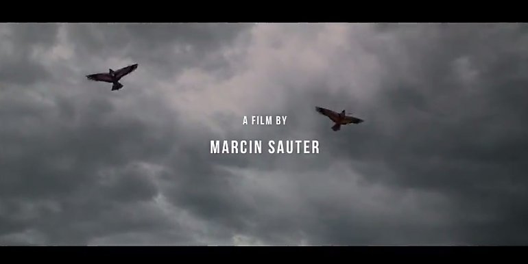 Oscarowa kampania filmu Marcina Sautera. Dorzuciło się miasto