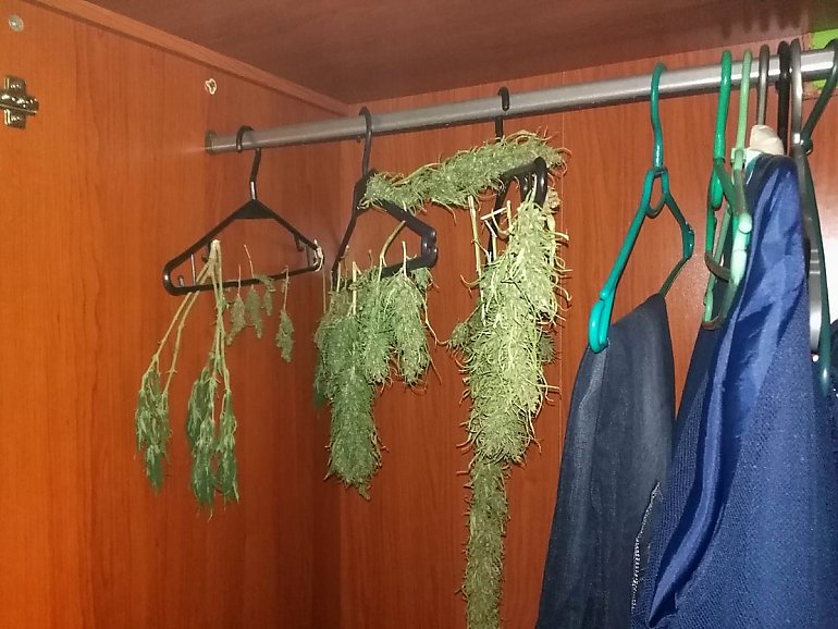 Narkotyki na Kapuściskach. 19-latek konopie suszył w szafie [ZDJĘCIA]