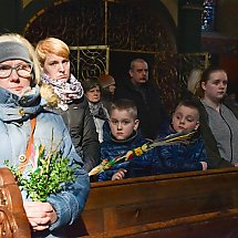 Galeria - Niedziela Palmowa. Msza św. w bydgoskiej katedrze/fot. Anna Kopeć