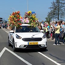 Galeria - Holandia królestwem kwiatów/fot. Krystyna Lewicka-Ritter 