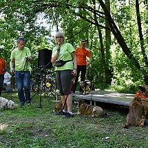 Galeria - Piknik w Myślęcinku, Dobre psy, dobrzy ludzie, 13 maja 2018 r./fot. Anna Kopeć