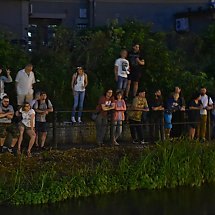 Galeria - Grupa Apocalyptica na Wyspie Młyńskiej, 2 czerwca 2018 r./fot. Anna Kopeć