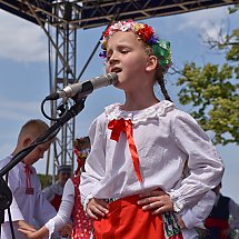 Galeria - Jarmark Świętojański, 10.06.2018 / fot. Anna Kopeć