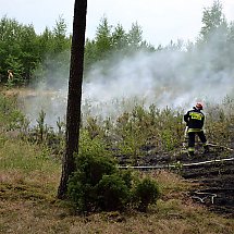 Galeria - Pożar lasu pod Bydgoszczą, 18 czerwca 2018 r./fot. bydgoszcz998