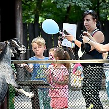 Galeria - 40 lat ogrodu zoologicznego w Myślęcinku, 22 lipca 2018 r./fot. Anna Kopeć