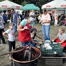 Galeria - XVIII Święto Śliwki w Strzelcach Dolnych, 1 września 2018 r./fot. bw