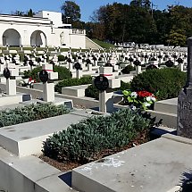 Galeria - Cmentarz Orląt Lwowskich / fot. Wojciech Bielawa