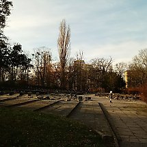 Galeria - Park im. W. Witosa w Bydgoszczy/fot. Maciej Łopatto