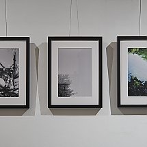 Galeria - Wystawa „Ślady – znaki – świadectwa” /fot. Jacek Kargól