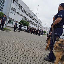 Galeria - Wojewódzkie Eliminacje do XXI Kynologicznych Mistrzostw Policji, 29 maja 2024 r./fot. Policja