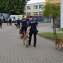 Galeria - Wojewódzkie Eliminacje do XXI Kynologicznych Mistrzostw Policji, 29 maja 2024 r./fot. Policja