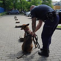 Galeria - Wojewódzkie Eliminacje do XXI Kynologicznych Mistrzostw Policji, 29 maja 2024 r./fot. Policja