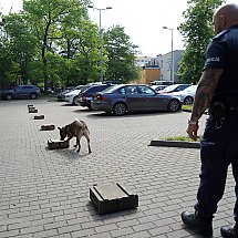 Galeria - Wojewódzkie Eliminacje do XXI Kynologicznych Mistrzostw Policji, 29 maja 2024 r./fot. Policja