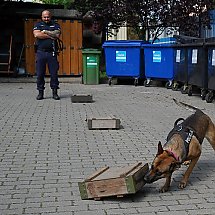 Galeria - Wojewódzkie Eliminacje do XXI Kynologicznych Mistrzostw Policji, 29 maja 2024 r./fot. Policja