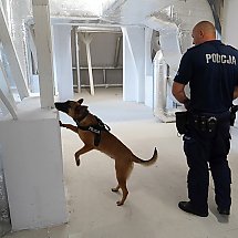 Galeria - Wojewódzkie Eliminacje do XXI Kynologicznych Mistrzostw Policji, 29 maja 2024 r./fot. Policja