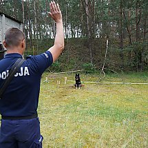 Galeria - Wojewódzkie Eliminacje do XXI Kynologicznych Mistrzostw Policji, 29 maja 2024 r./fot. Policja