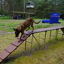 Galeria - Wojewódzkie Eliminacje do XXI Kynologicznych Mistrzostw Policji, 29 maja 2024 r./fot. Policja