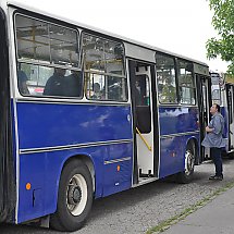 Galeria - VII Zlot Zabytkowych Autobusów w Bydgoszczy, 22 czerwca 2024 r. / fot. własne