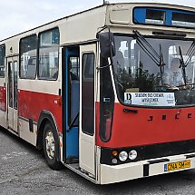 Galeria - VII Zlot Zabytkowych Autobusów w Bydgoszczy, 22 czerwca 2024 r. / fot. własne