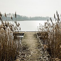 Galeria - Jezioro Więcborskie fot. Tomasz Czachorowski