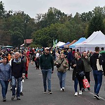 Galeria - XXI Jarmark Kujawsko-Pomorski w Myślęcinku, 15 września 2024 r./fot. własne