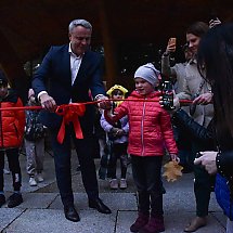 Galeria - Lumina Park w Myślęcinku, 23 października 2024 r./fot. własne