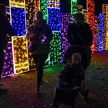 Galeria - Lumina Park w Myślęcinku, 23 października 2024 r./fot. własne