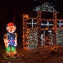 Galeria - Lumina Park w Myślęcinku, 23 października 2024 r./fot. własne