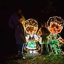 Galeria - Lumina Park w Myślęcinku, 23 października 2024 r./fot. własne