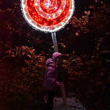 Galeria - Lumina Park w Myślęcinku, 23 października 2024 r./fot. własne