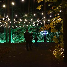 Galeria - Lumina Park w Myślęcinku, 23 października 2024 r./fot. własne