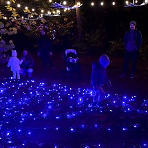 Galeria - Lumina Park w Myślęcinku, 23 października 2024 r./fot. własne