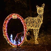 Galeria - Lumina Park w Myślęcinku, 23 października 2024 r./fot. własne