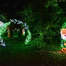 Galeria - Lumina Park w Myślęcinku, 23 października 2024 r./fot. własne