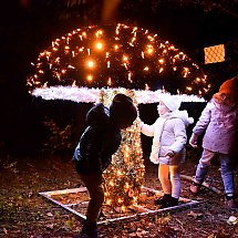 Galeria - Lumina Park w Myślęcinku, 23 października 2024 r./fot. własne