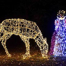 Galeria - Lumina Park w Myślęcinku, 23 października 2024 r./fot. własne