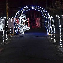 Galeria - Lumina Park w Myślęcinku, 23 października 2024 r./fot. własne